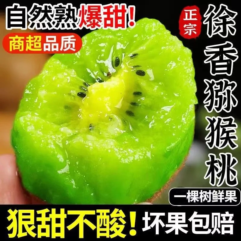 【新年特惠】正宗陕西徐香绿心猕猴桃奇异果应季水果坏果包赔