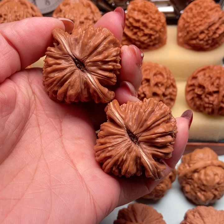 四座楼全42已打底