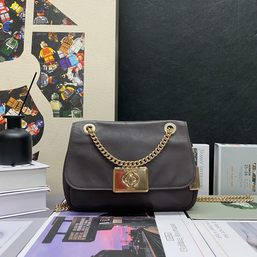 95新 COACH/蔻驰 22253斜挎包23*16