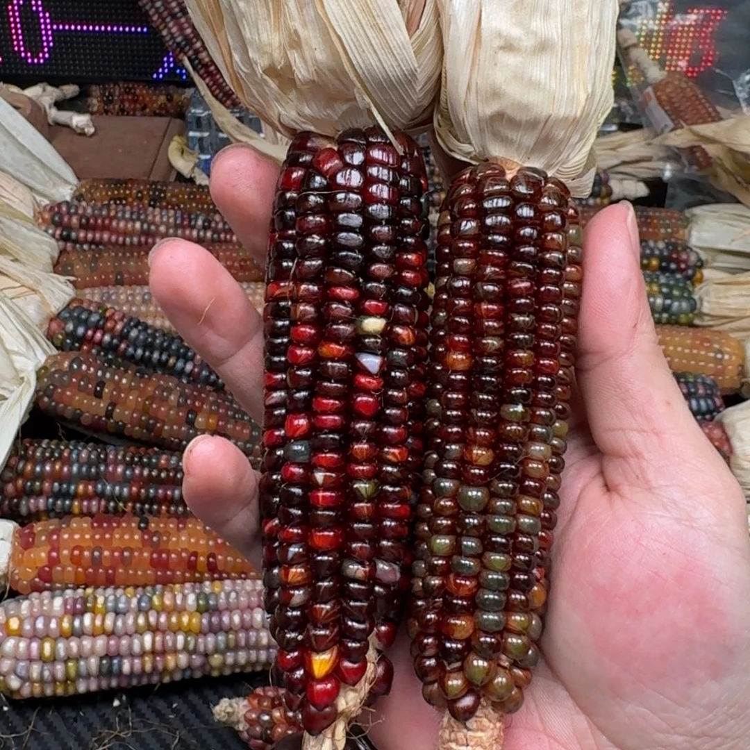 柏香籽/百香籽吊坠花***_