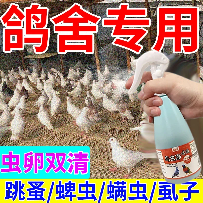 【鸽场鸽舍驱虫】鸽子体外驱虫剂清除鸽虱鸽螨跳蚤蜱虫鸽子驱虫止痒