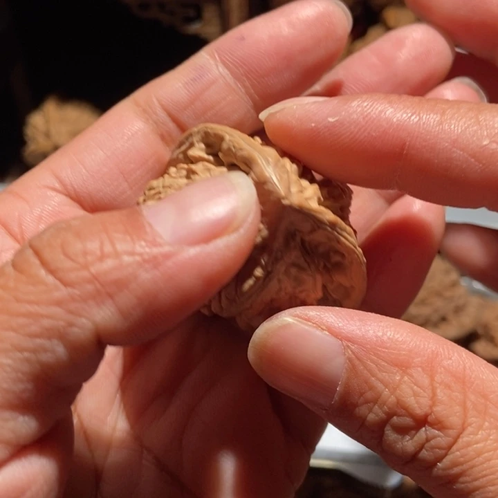 治***馆核桃官帽趴趴蛇尺寸41