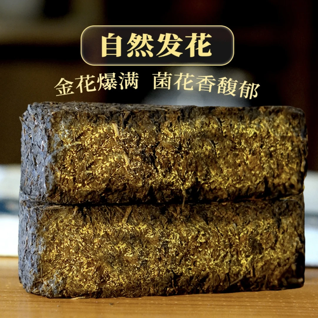 [2斤口粮丨金花爆满]陈年天尖金花茯砖！2斤湖南安化金花黑茶！