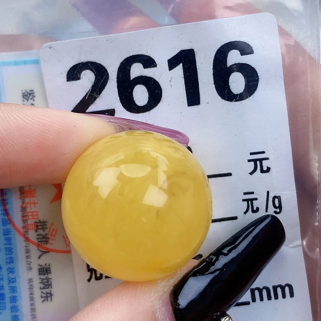 琥珀未镶嵌珠宝奇石23.6植物