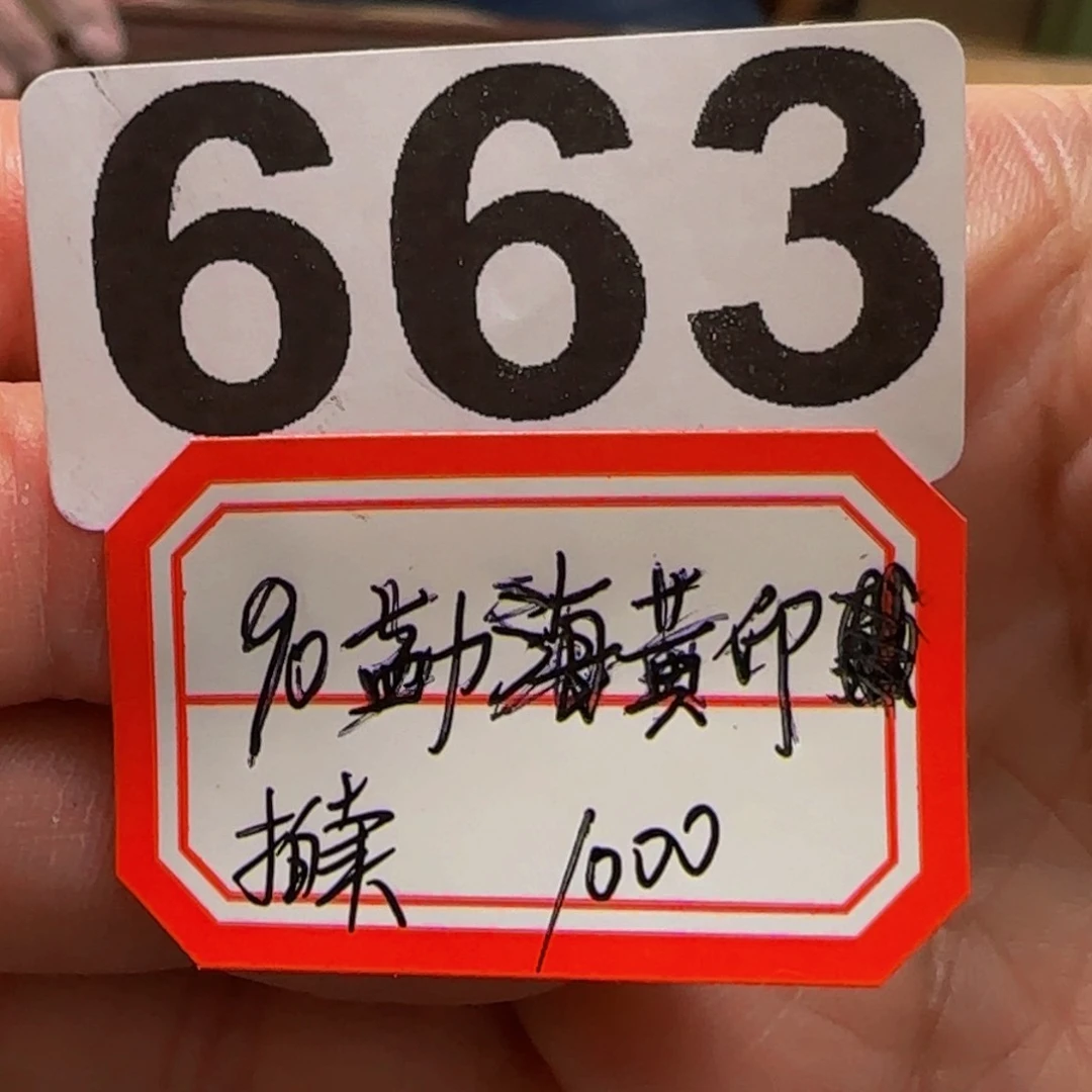 茶杯紫砂?****点663 ………………………………