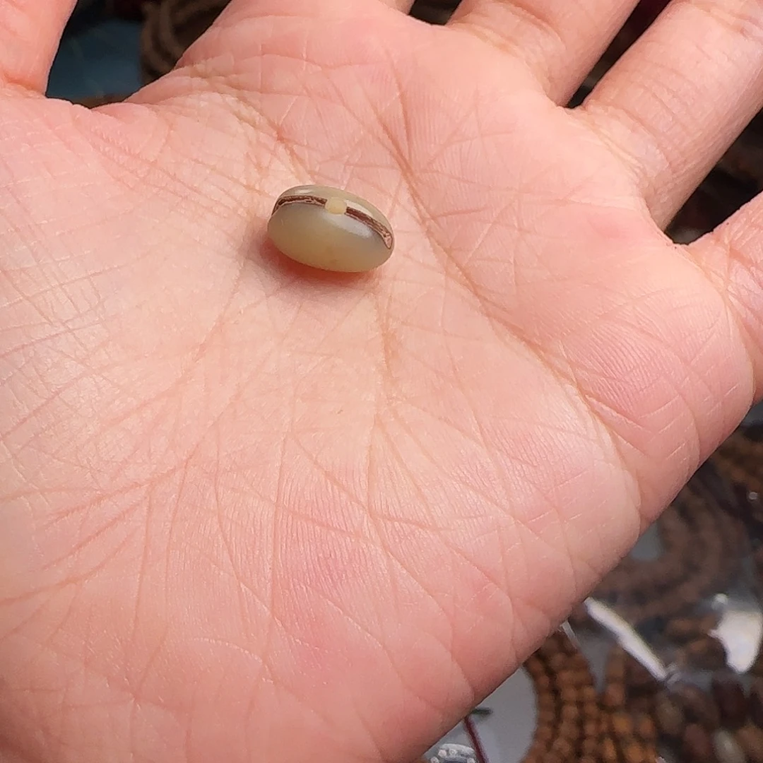 柏香籽/百香籽吊坠y***t