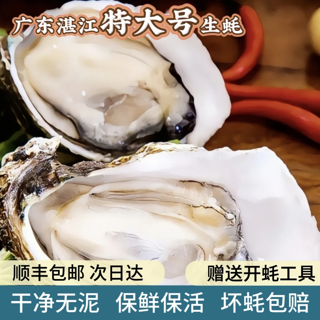 【次日达】10斤特大号湛江生蚝 干净无泥 顺丰包邮 赠送开蚝工具