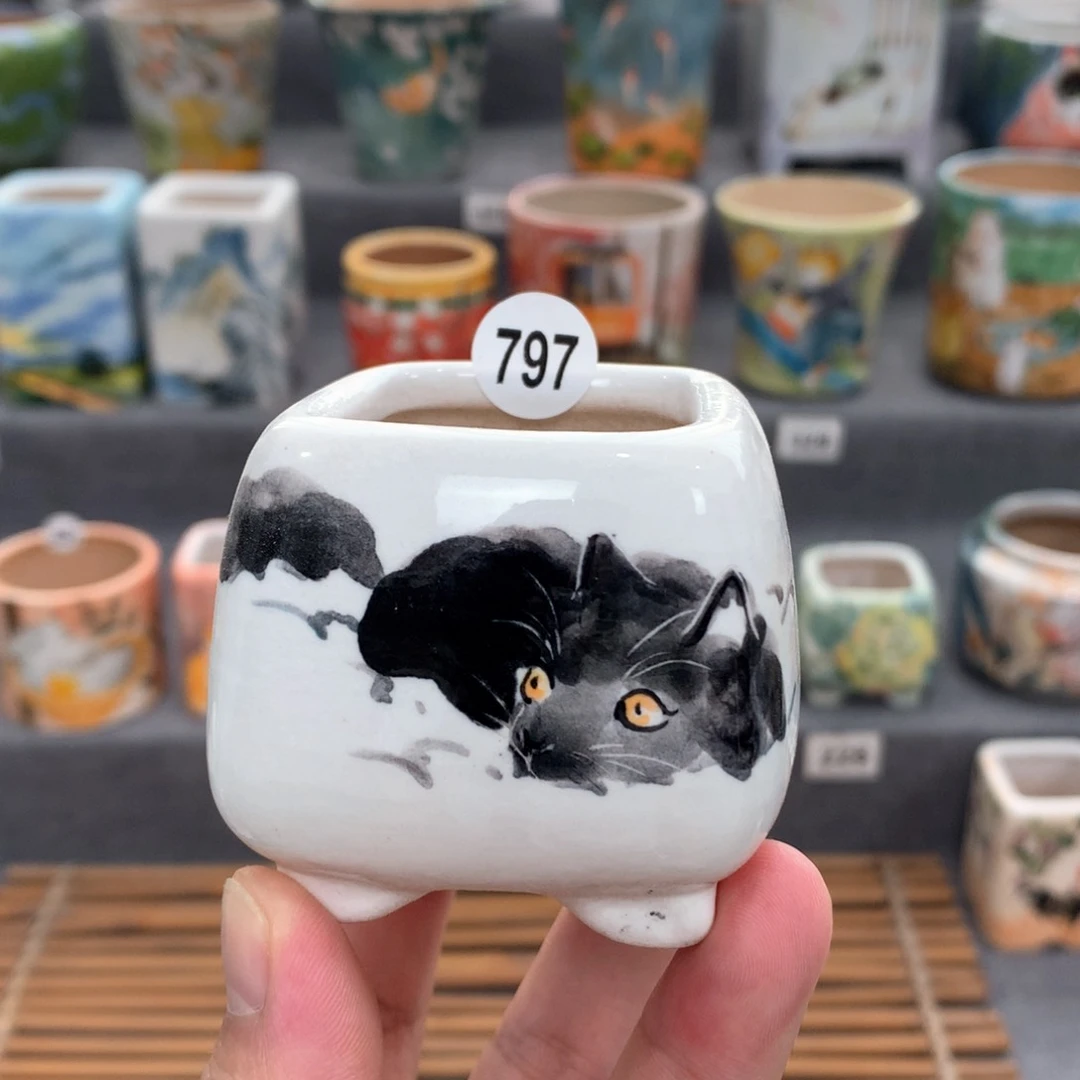 罐粉丝特惠活动专场