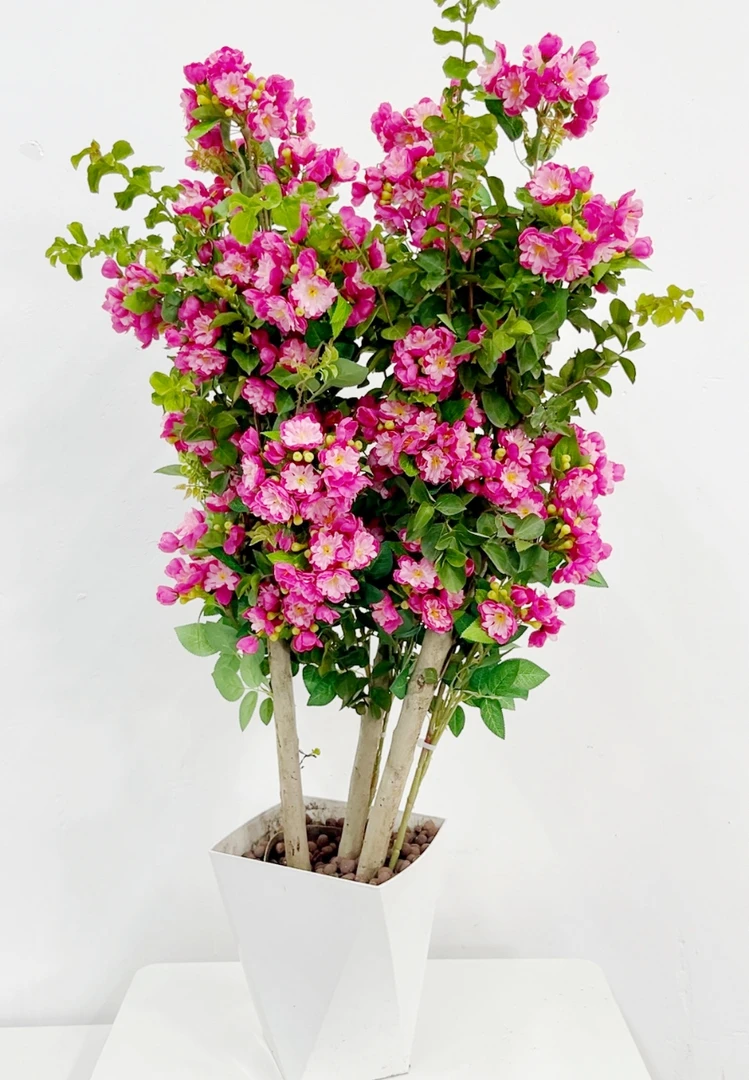 [B]紫薇花盆栽带花苞发货耐热耐寒适合阳台庭院多场景种植