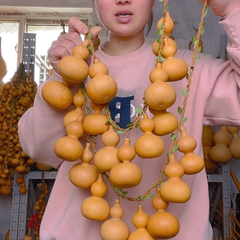 天然植物葫芦文玩