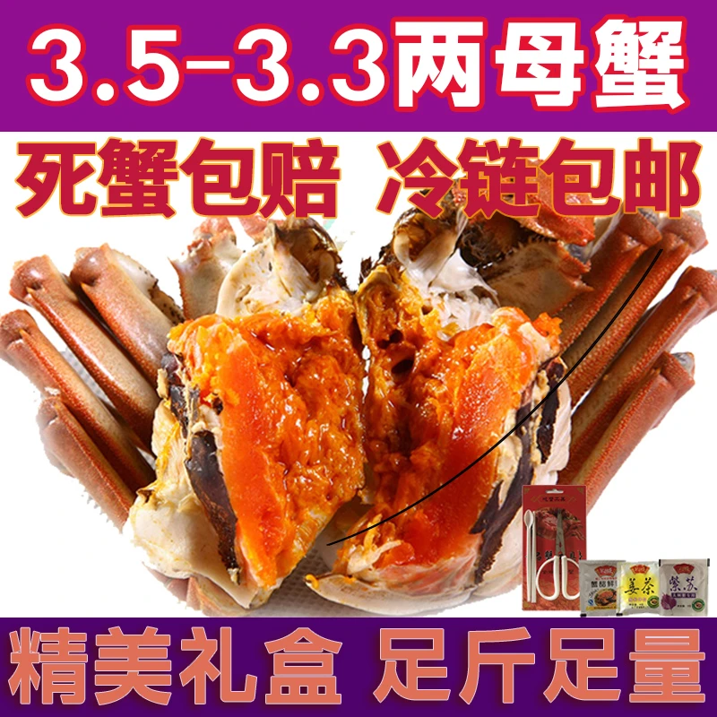 【活蟹】螃蟹可选全母蟹3.5-3.3两/只精品蟹6/8/10只顺丰/京东冷链赠吃蟹工具精美礼盒青蟹海鲜