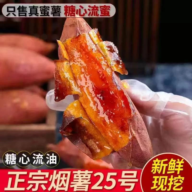 【新鲜】山东烟薯25号正宗新鲜糖心蜜薯红薯软糯香甜流油地瓜