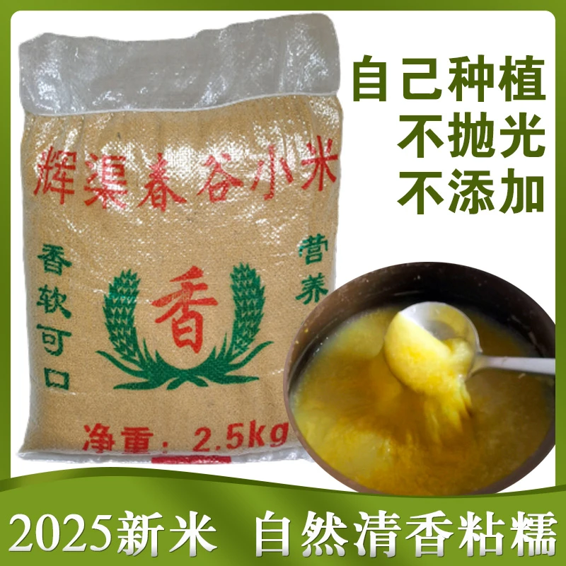 黄小米2025年新米安丘辉渠小米潍坊土特产农家自种山地春谷杂粮米