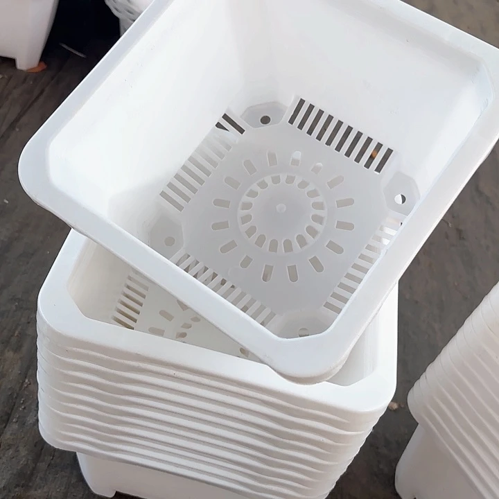 220白方盆20公分高15公分12个