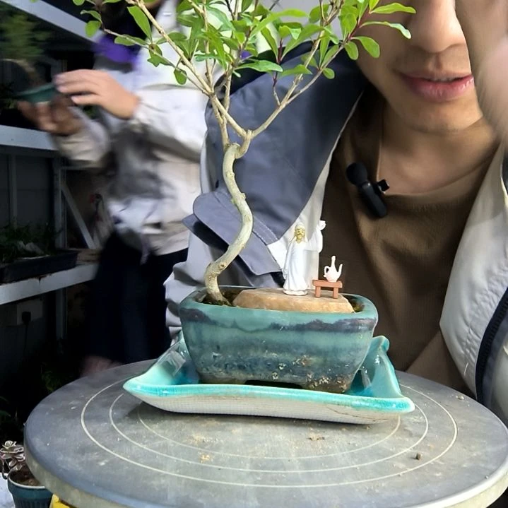 李*瑞中青园艺一物一拍146