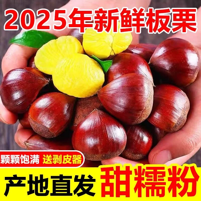 【买三送二】新鲜现摘高山头茬板栗甘甜清脆香糯可口不难剥皮
