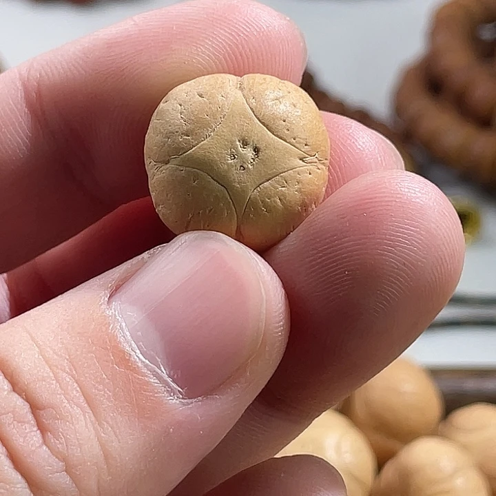 凤眼菩提吊坠尼泊尔小凤眼