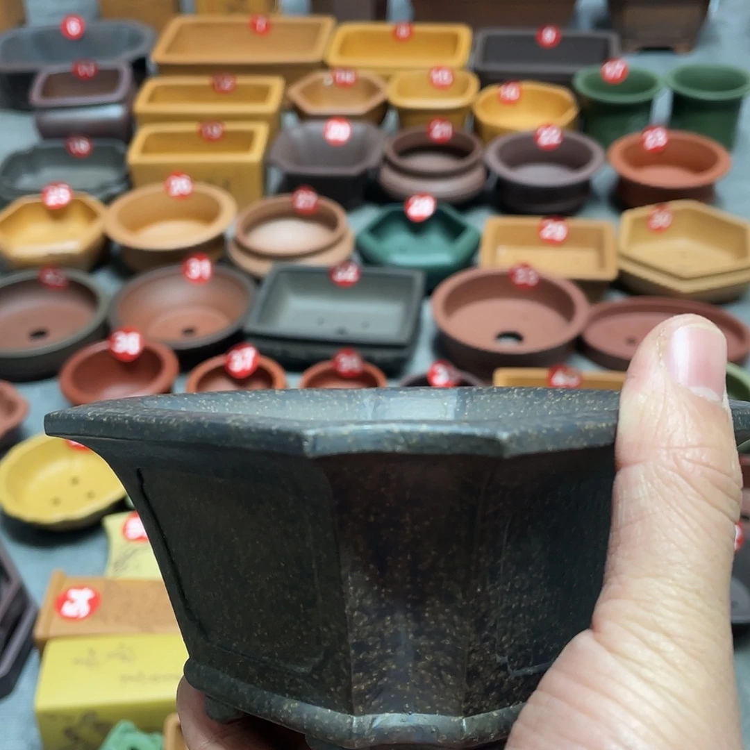 紫砂小盆11.5*6cmmmm