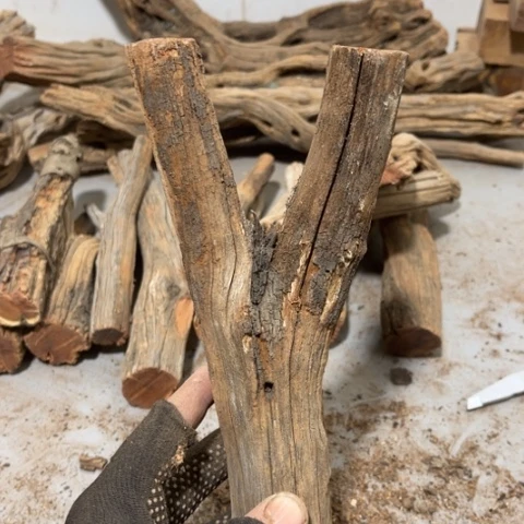 大果紫檀（缅甸花梨）曾***诺