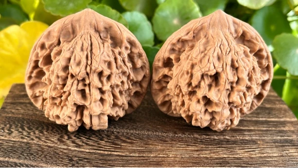 麒麟纹官帽［新人练手对］默认随机发货！理智下单！谢谢！