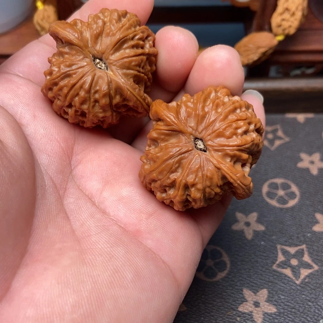 核桃血麒麟边43肚子42高35