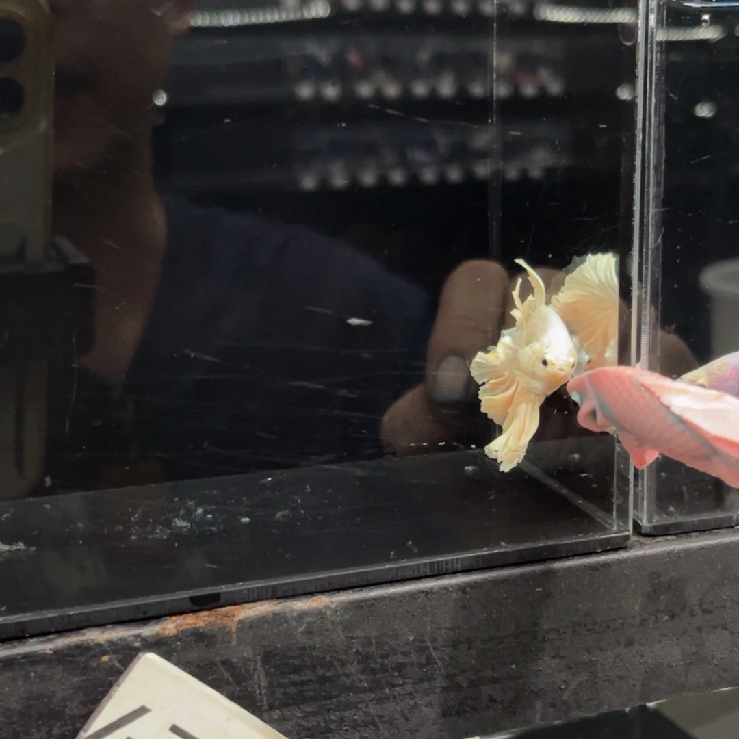 海水哈哈哈哈哈哈哈哈