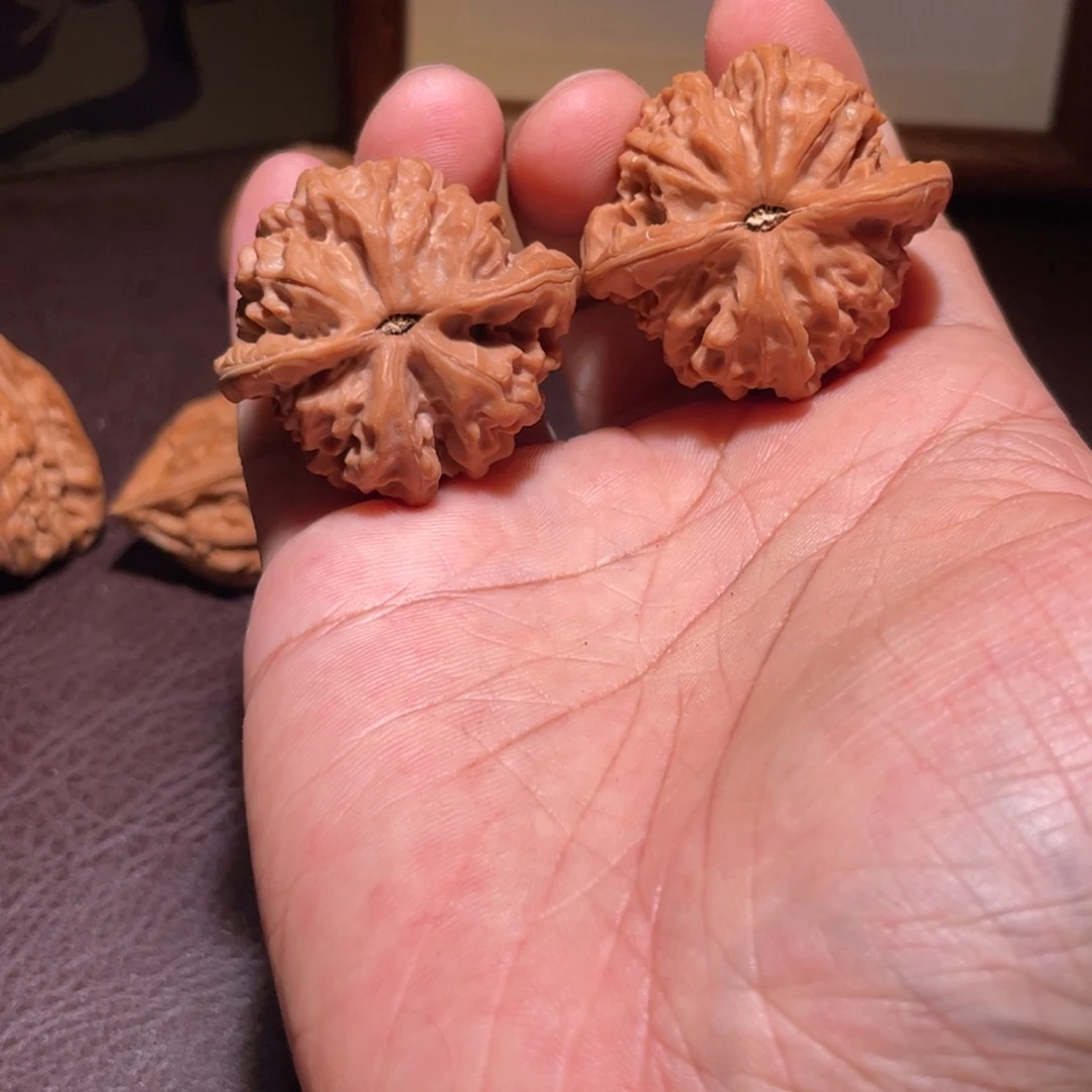 文玩核桃全品鹤度岭