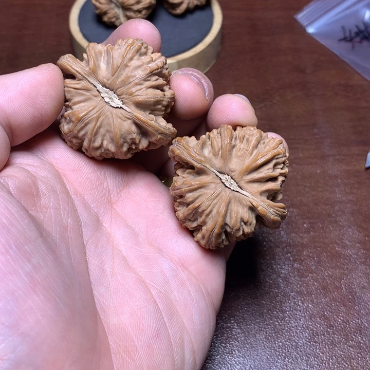 把件文玩核桃西**人白狮子