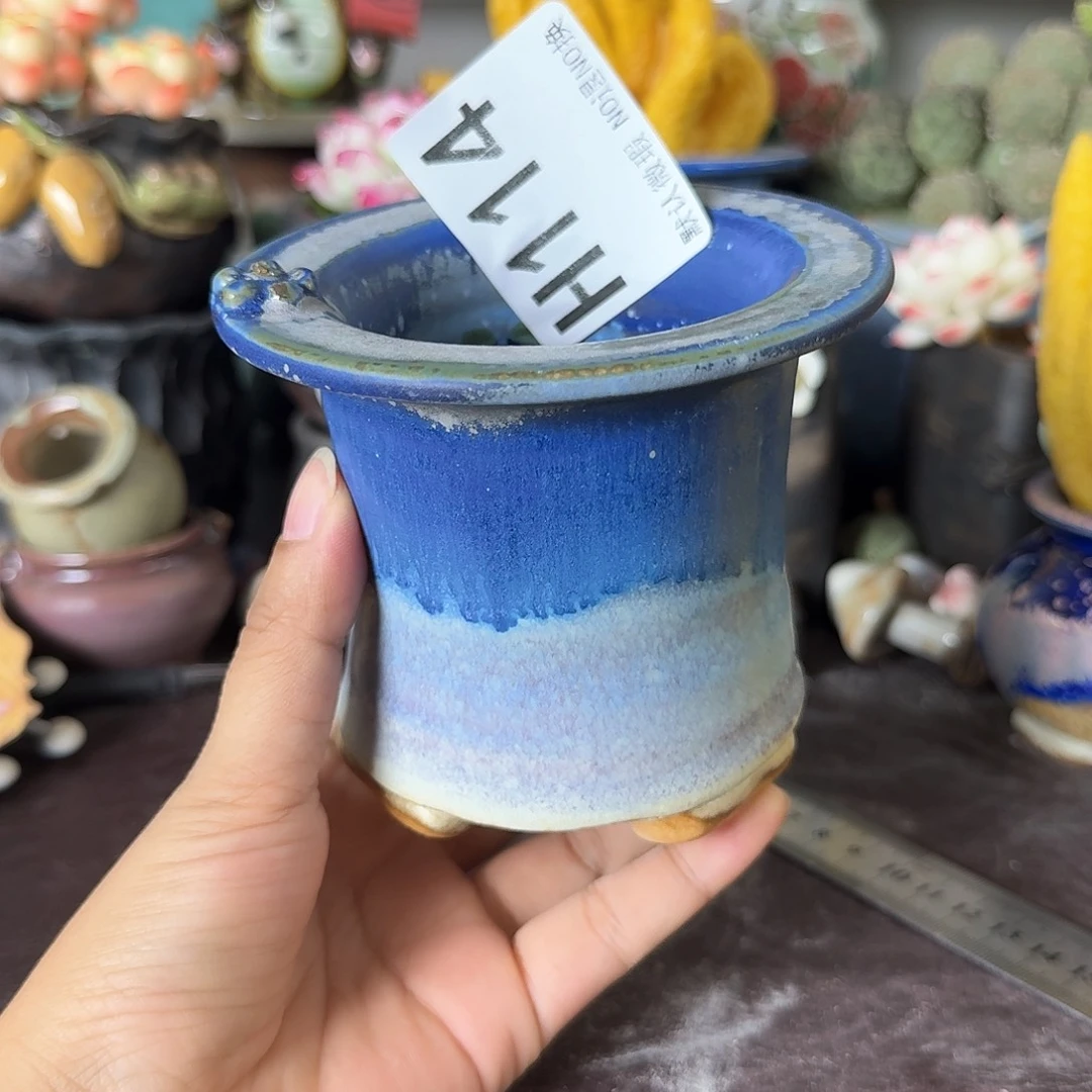 重庆小燕子欢迎大家114