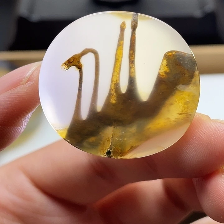 输***称玛瑙/玉髓未镶嵌颈饰