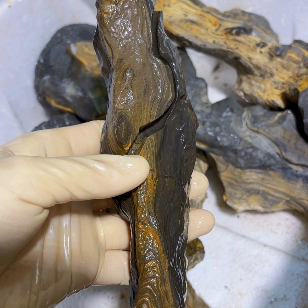 小****!附石盆景一物一拍