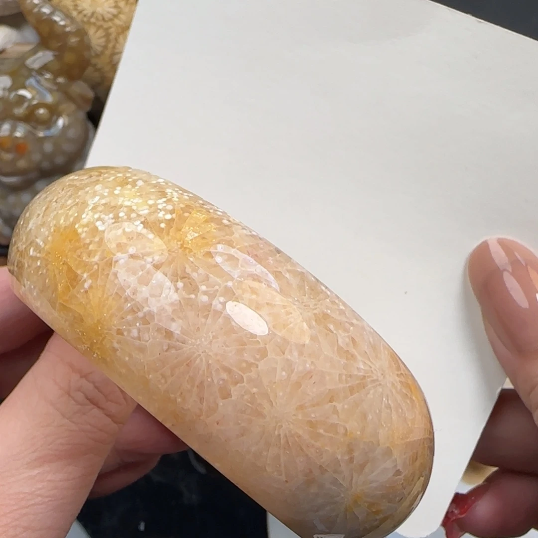 硅化珊瑚（珊瑚玉）未镶嵌手镯