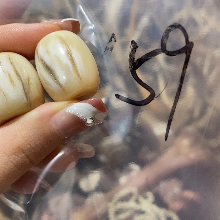 峡***孩无非金属鹿角鹿角