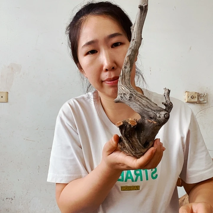 快***文香榧木我在外面等你