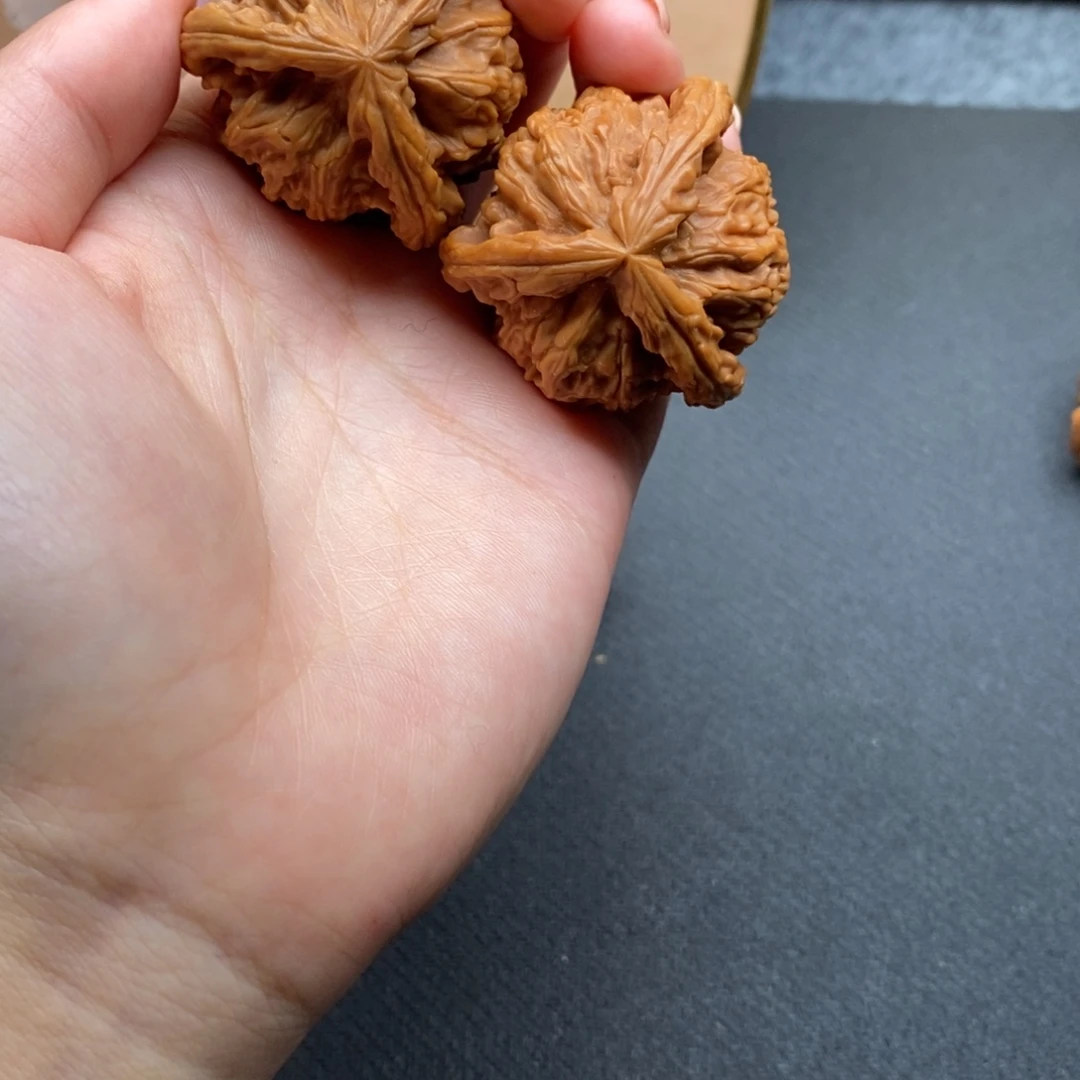 优*白狮子1111111111