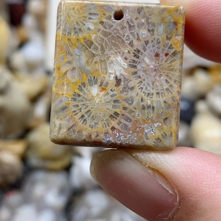 颈饰未镶嵌硅化珊瑚（珊瑚玉）小