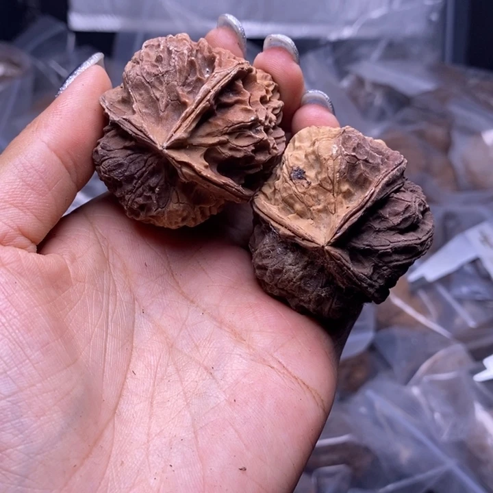 核桃云南野生铁核桃107号43mm