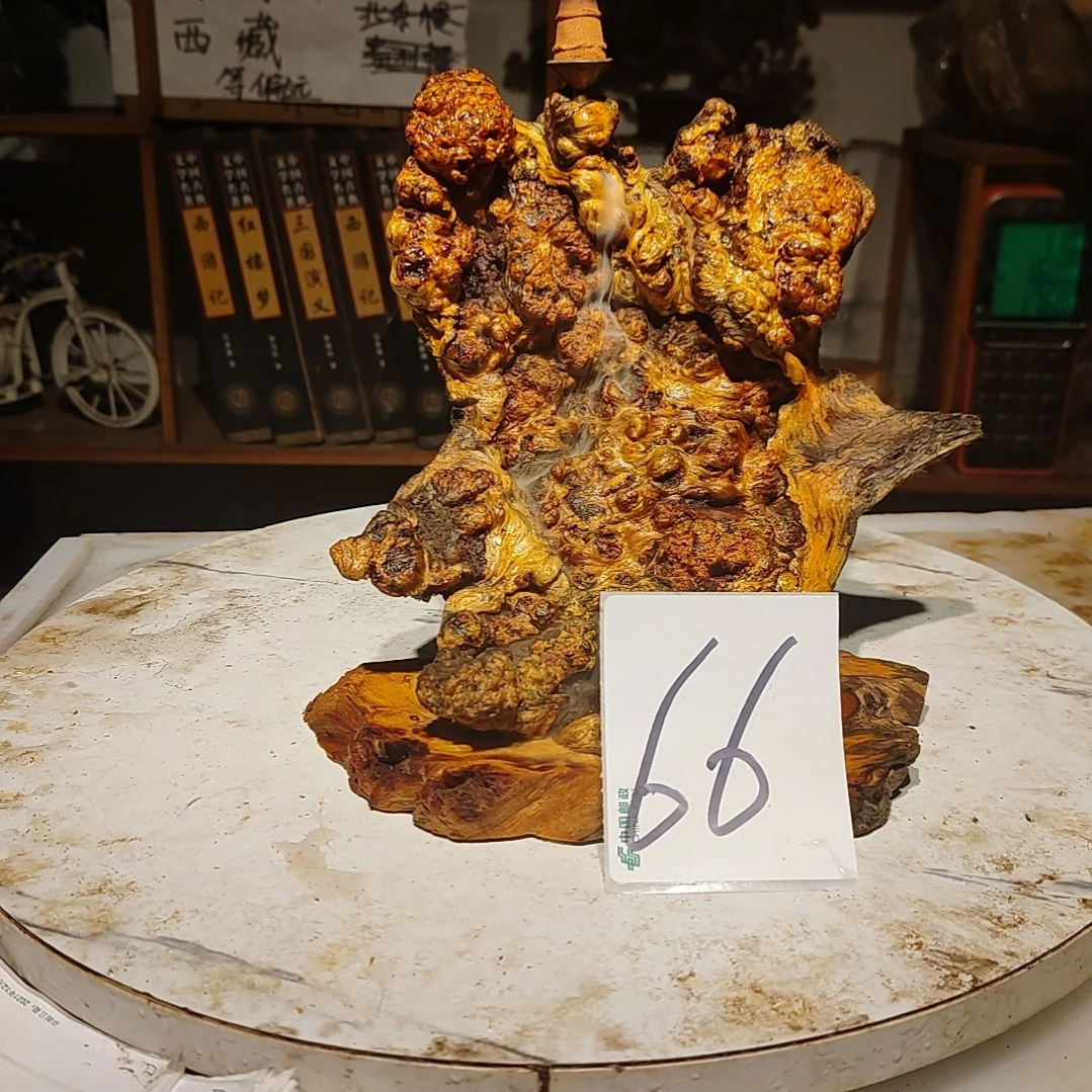 松木橄*树66号北沉香琥珀木天然造型