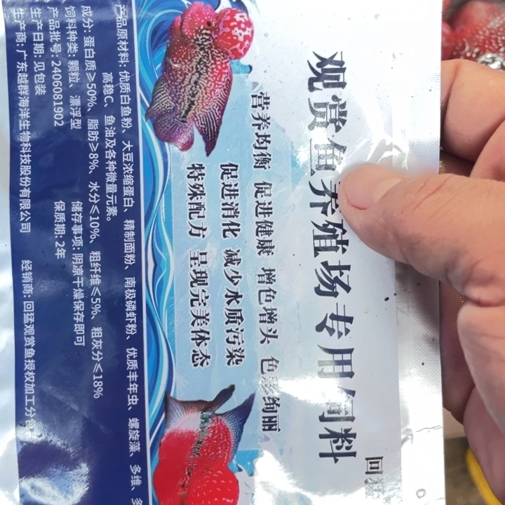 真***迹罗汉鱼68.7////////////////