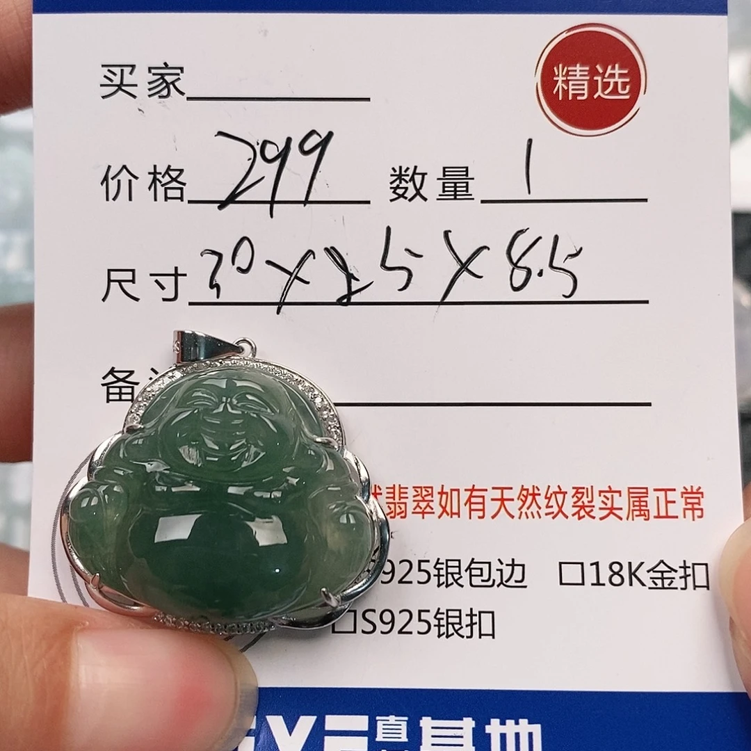 翡翠银S925镶嵌颈饰