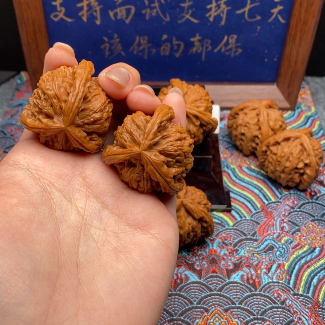 【闪购商品】知*白狮子11111111