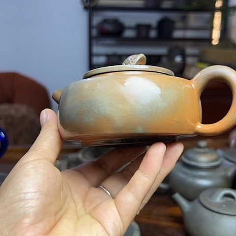 戬谷龙窑柴烧茶壶098