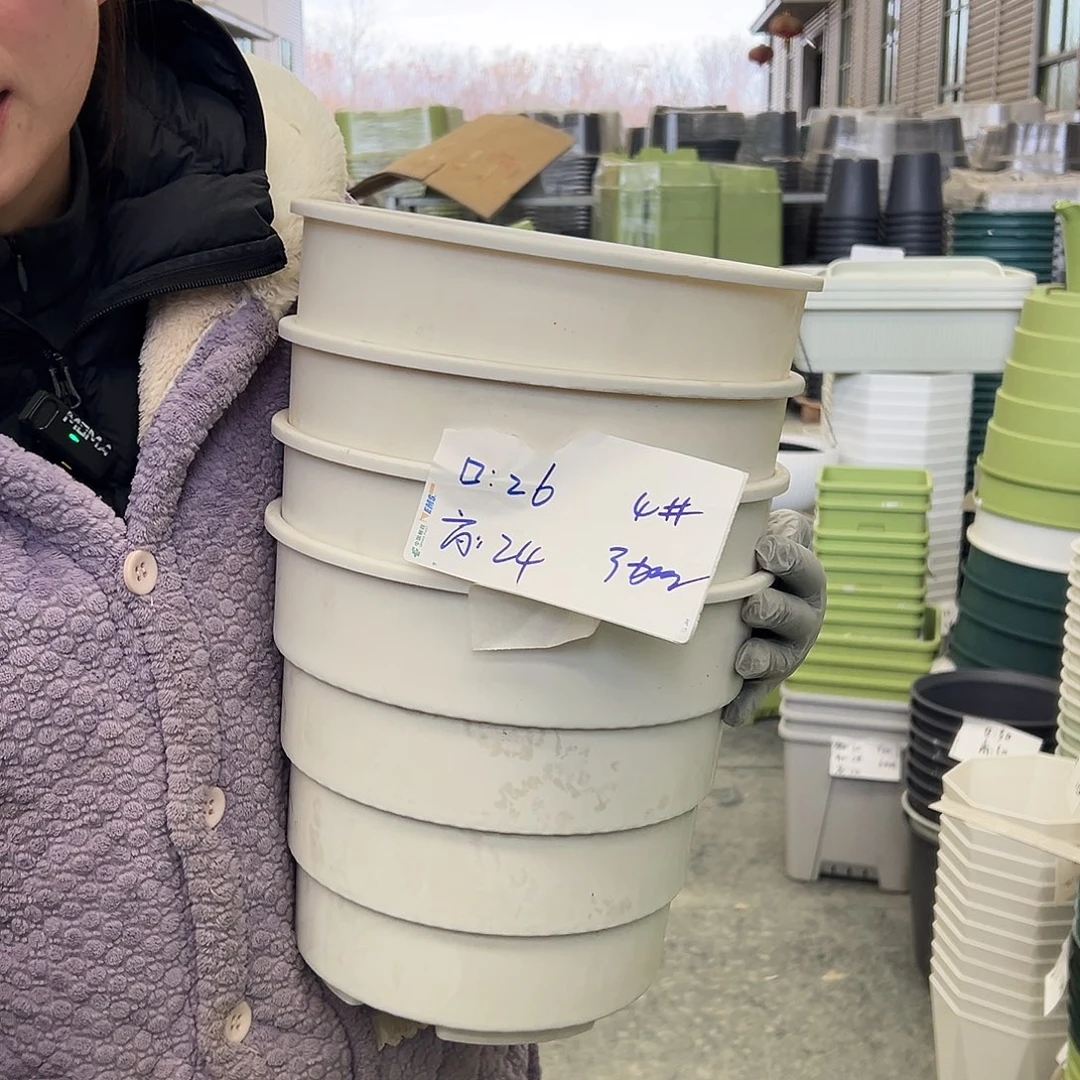 多孔盆4#白色4个无托