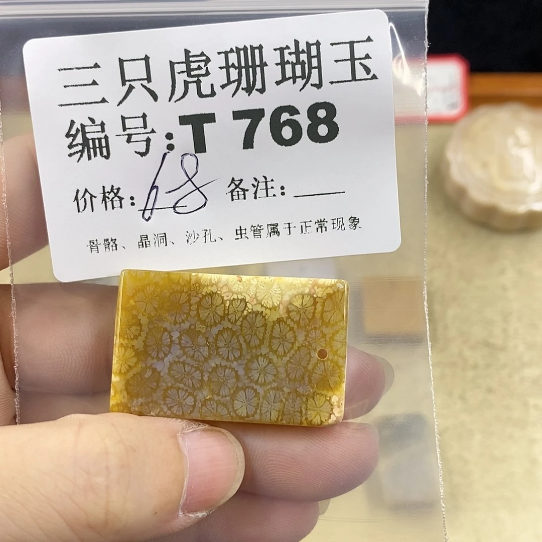 硅化珊瑚（珊瑚玉）1未镶嵌༺****༻