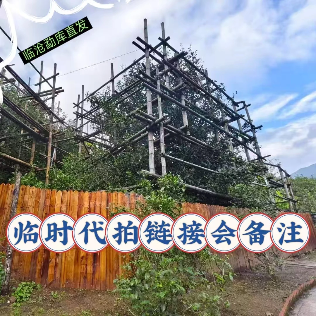 【冰岛产区普洱茶】通用链接以展示实物为准