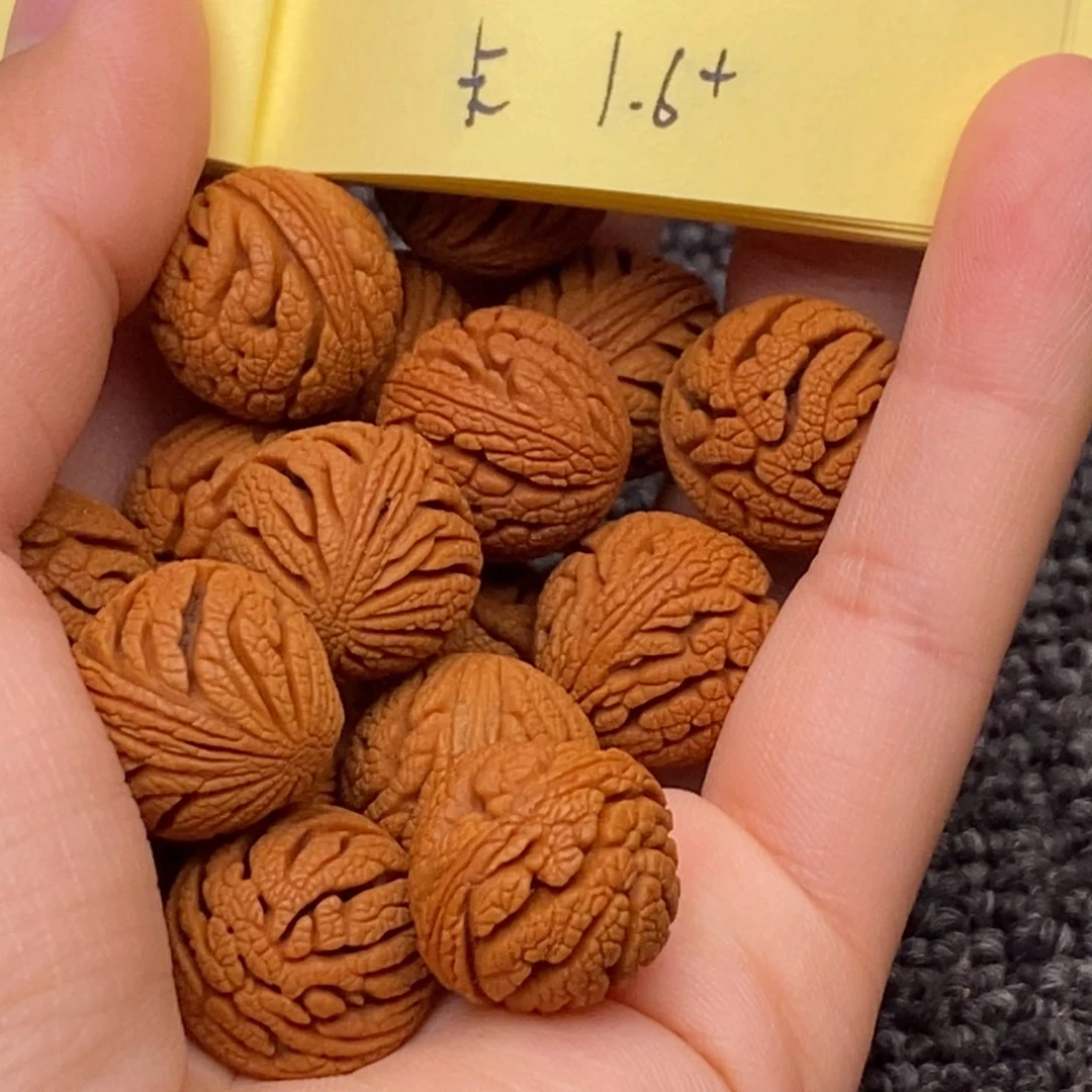秦岭山脉龙纹桃核 单圈15