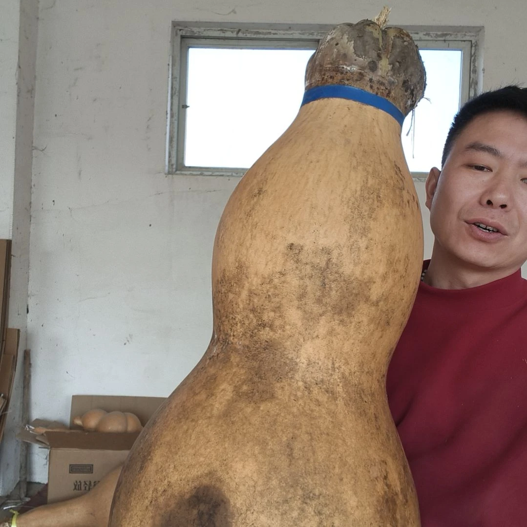 葫芦娃救爷爷一个一个的来