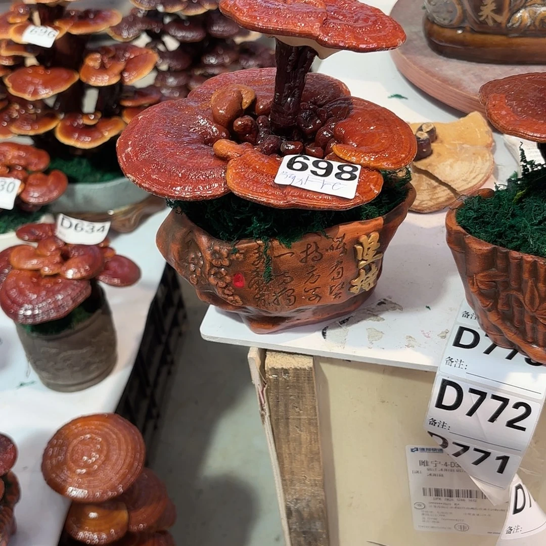 阿***力无花朵灵芝5855555555555