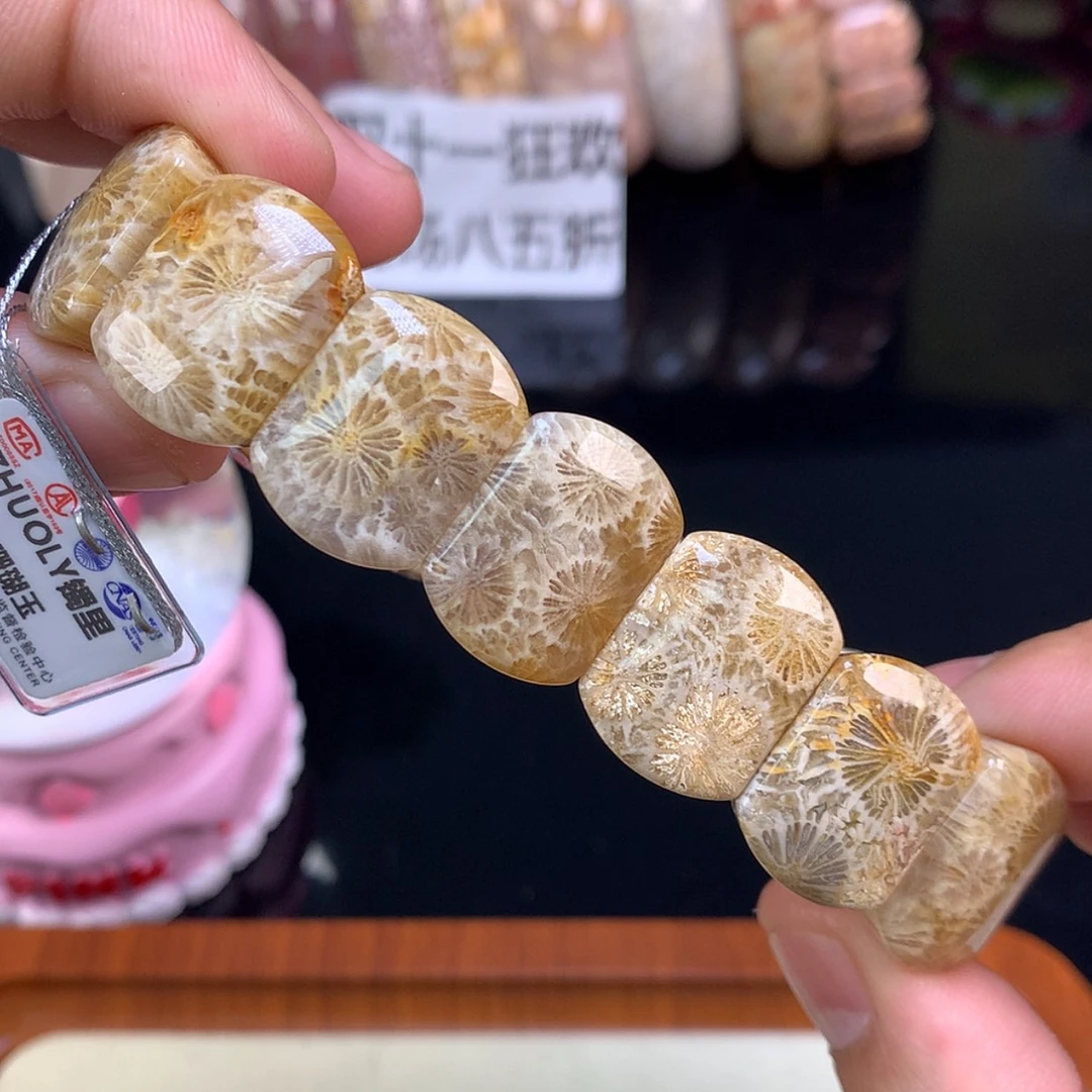 【闪购商品】颈饰未镶嵌硅化珊瑚（珊瑚玉）1号全满大花
