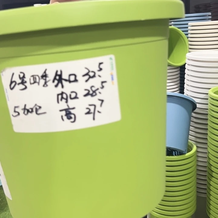 特价6号口32.5高27.7果绿带托5只